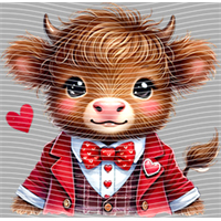 Valentine's Day-QRJ  5219